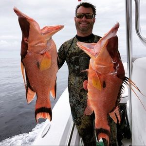 Meet your Posher, Ed